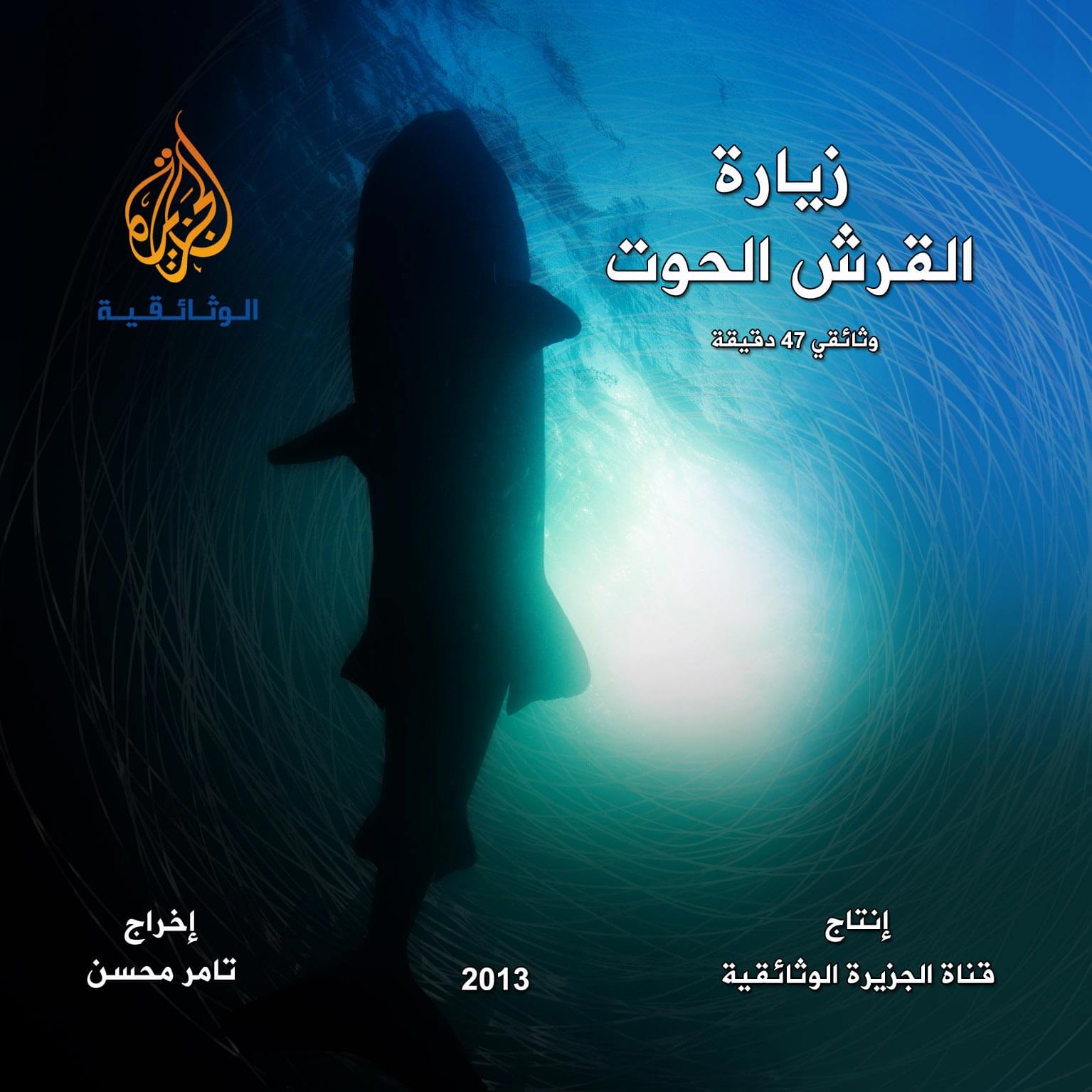 The Whale Shark's Visit