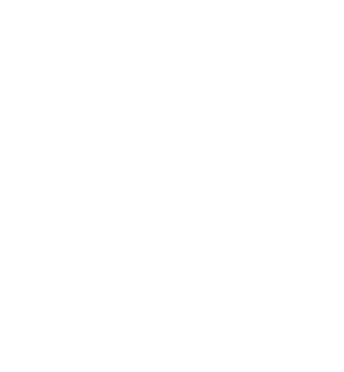 mute button